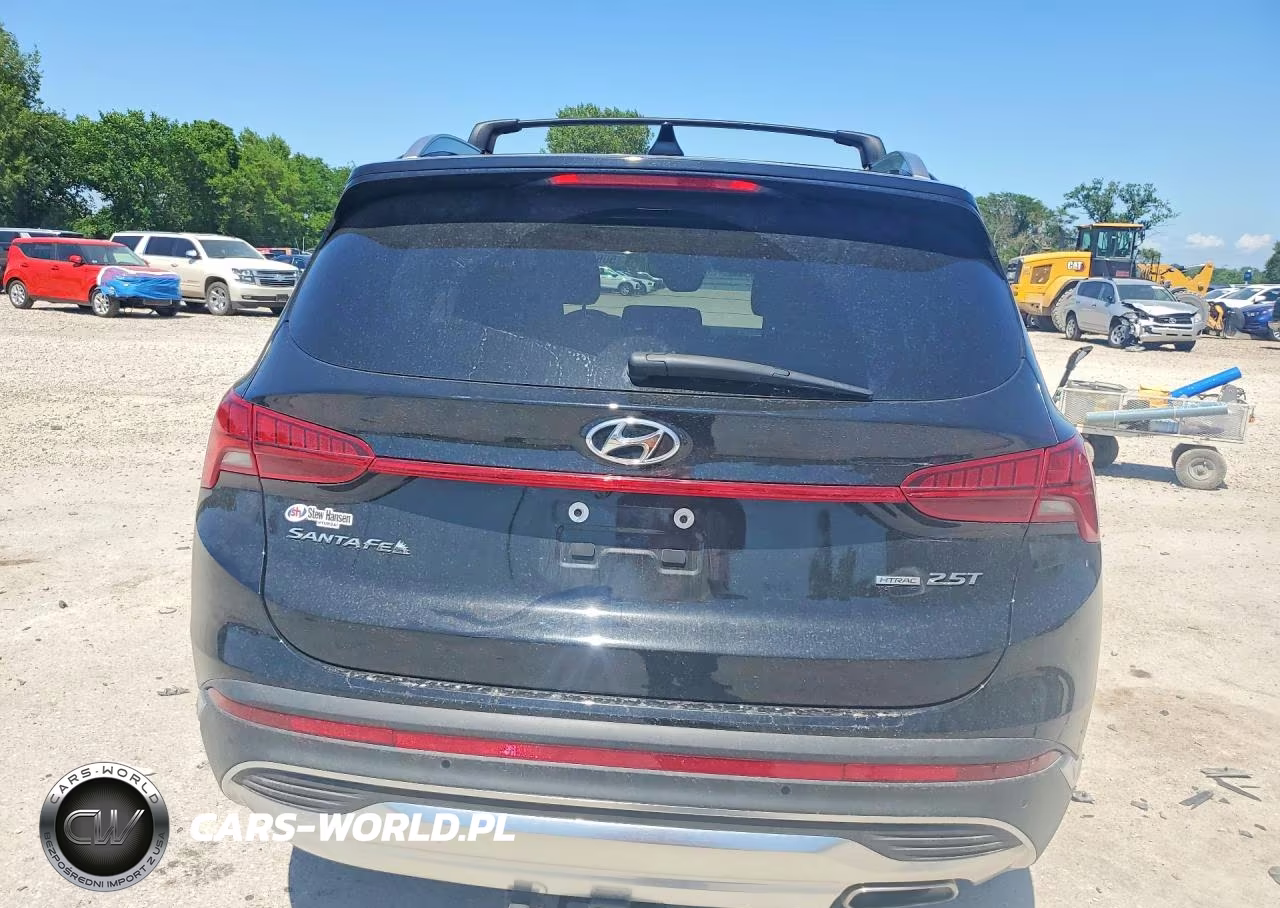 2023 Hyundai Santa Fe Limited VIN:5NMS4DAL2PH638242 - 6