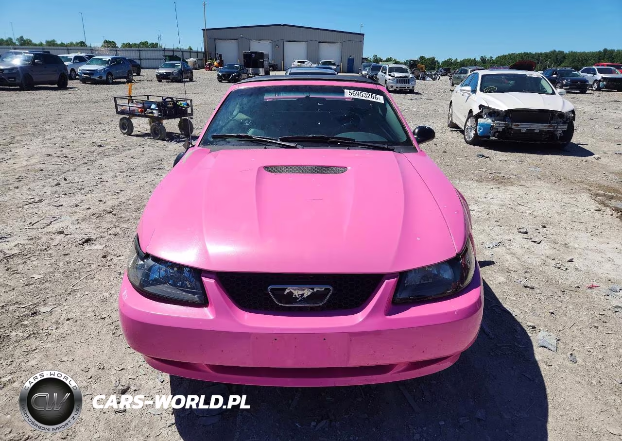 2001 Ford Mustang VIN:1FAFP44431F228279 - 5
