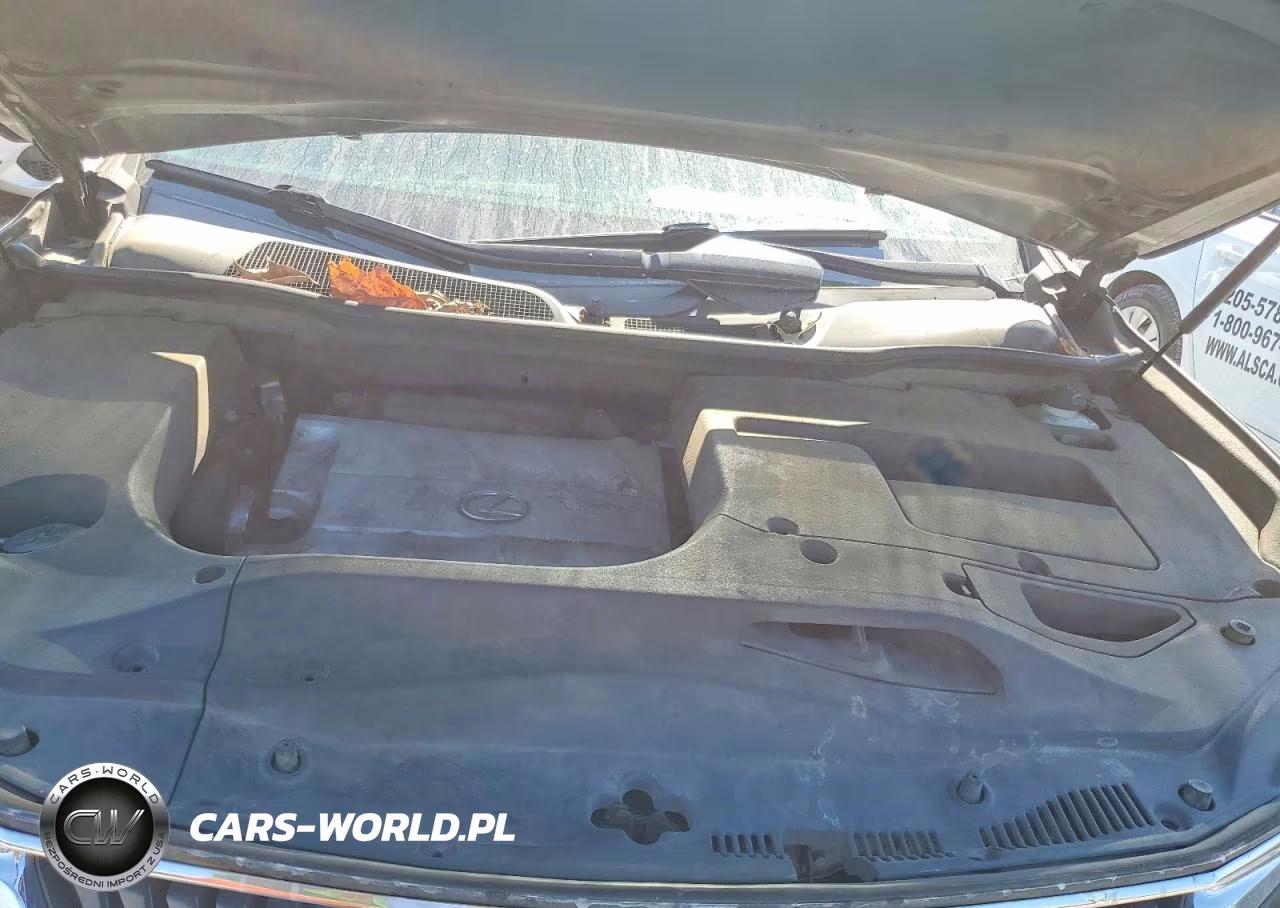 2010 Lexus Rx 350 VIN:JTJZK1BA2A2401761 - 12