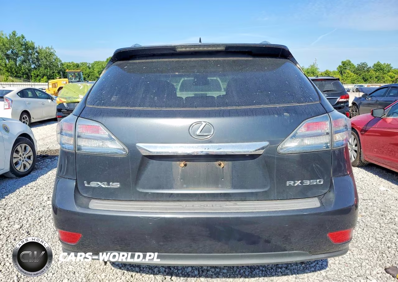2010 Lexus Rx 350 VIN:JTJZK1BA2A2401761 - 6