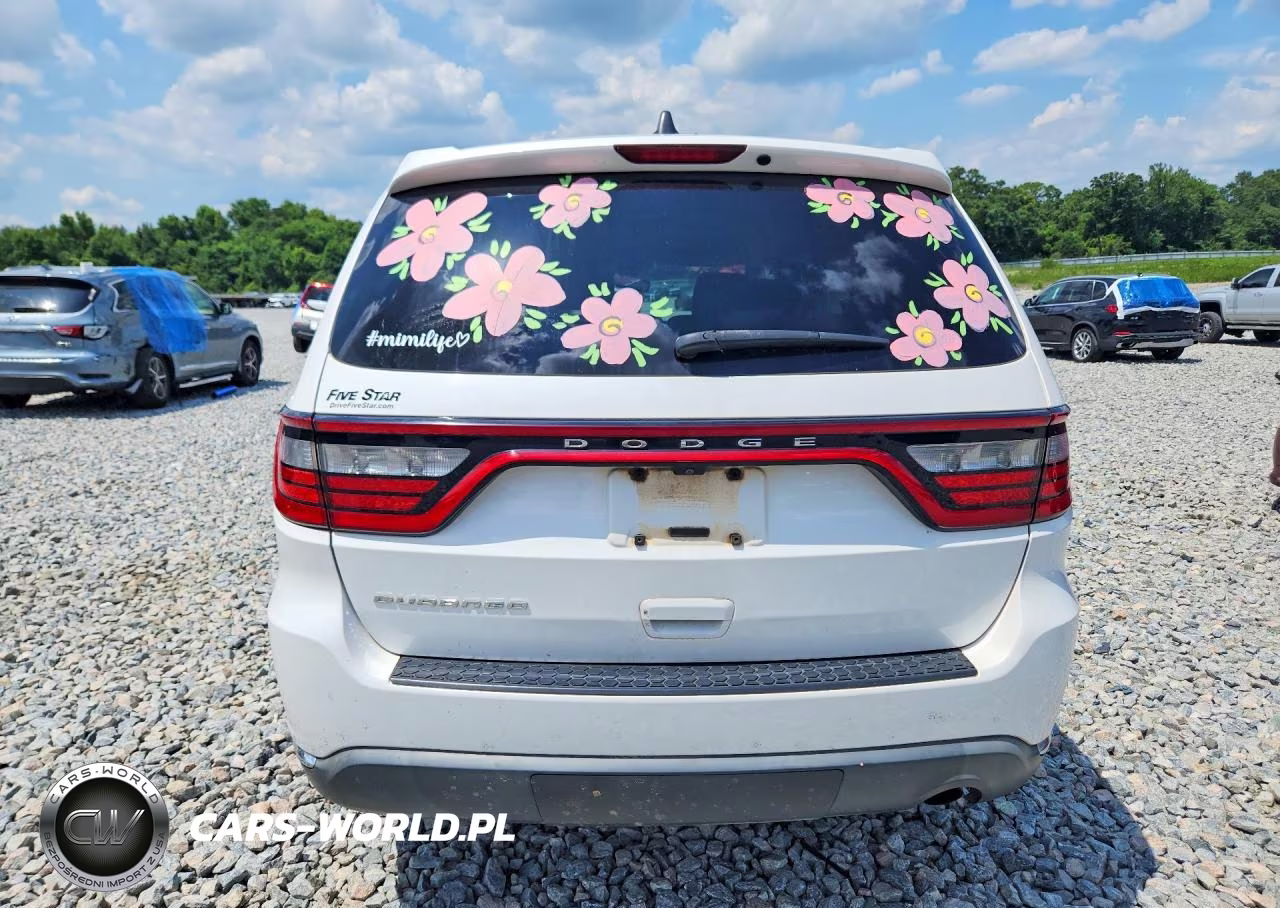2019 Dodge Durango Sxt VIN:1C4RDHAG6KC550052 - 6