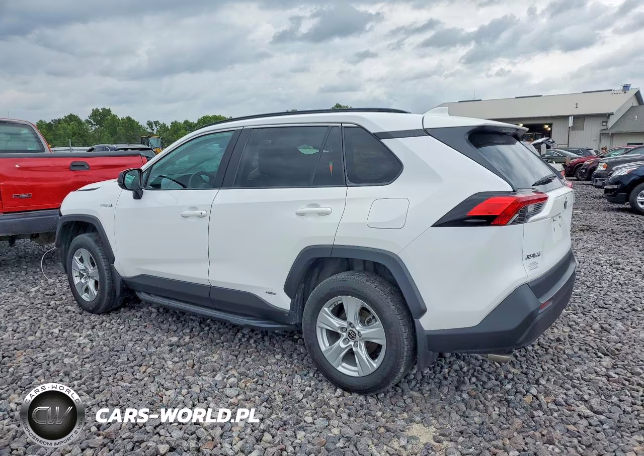 2021 Toyota Rav4 Le VIN:4T3LWRFV4MU013239 - 2