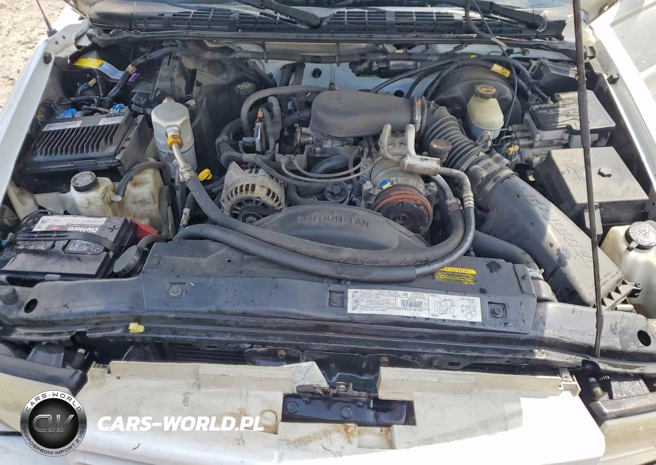 2000 Oldsmobile Bravada VIN:1GHDT13W4Y2103785 - 12