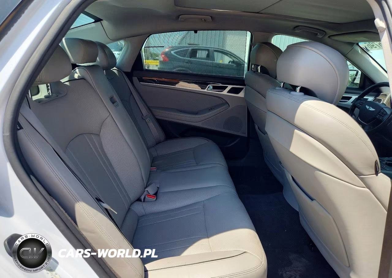 2015 Hyundai Genesis 3.8L VIN:KMHGN4JE4FU063875 - 10