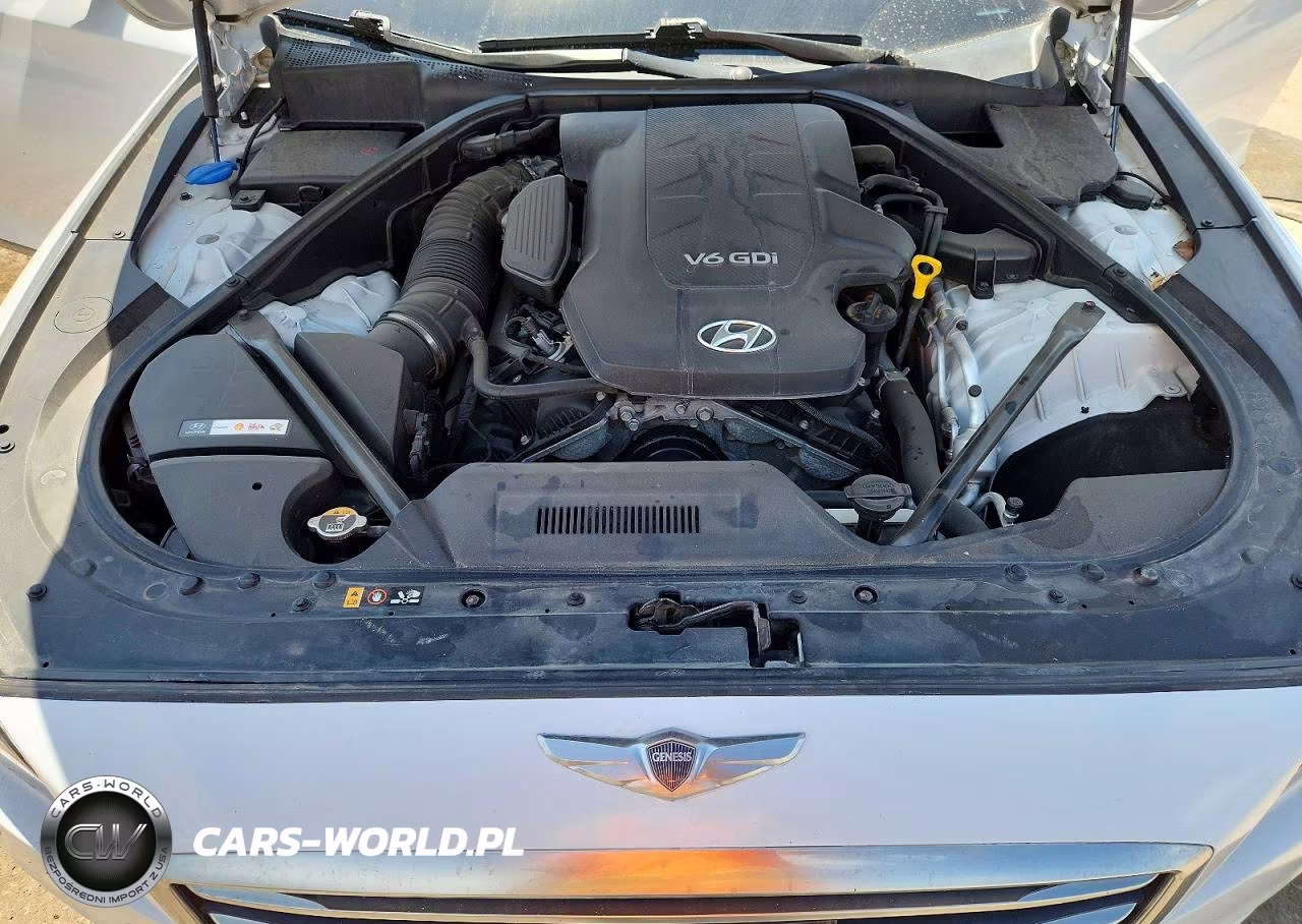 2015 Hyundai Genesis 3.8L VIN:KMHGN4JE4FU063875 - 11