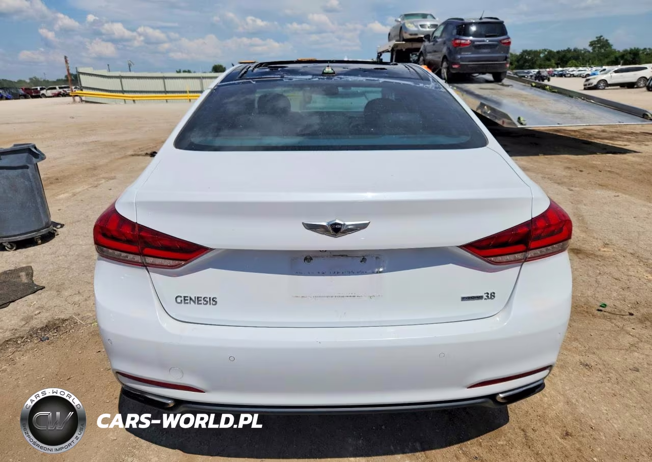 2015 Hyundai Genesis 3.8L VIN:KMHGN4JE4FU063875 - 6