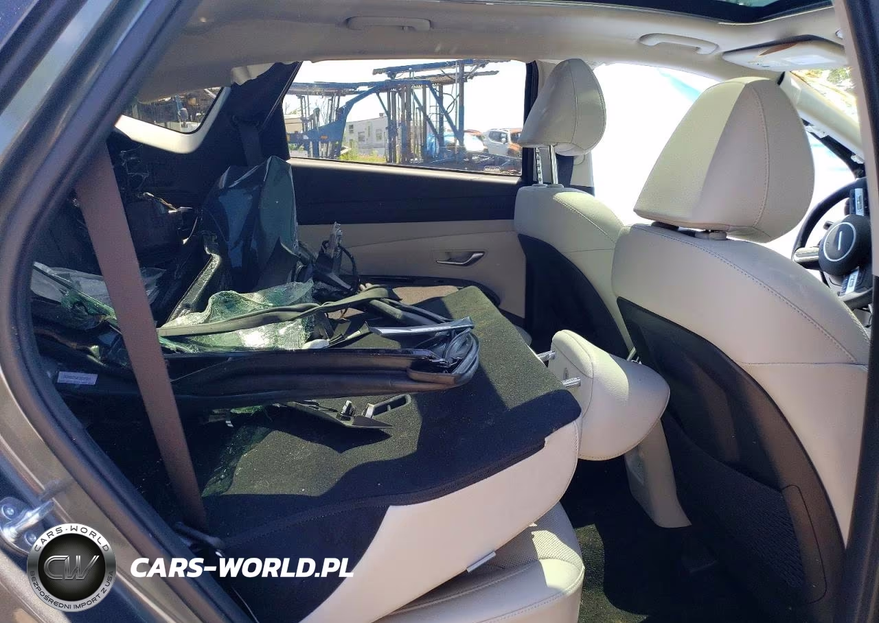 2025 Hyundai Tucson Limited VIN:KM8JEDD10SU384692 - 10