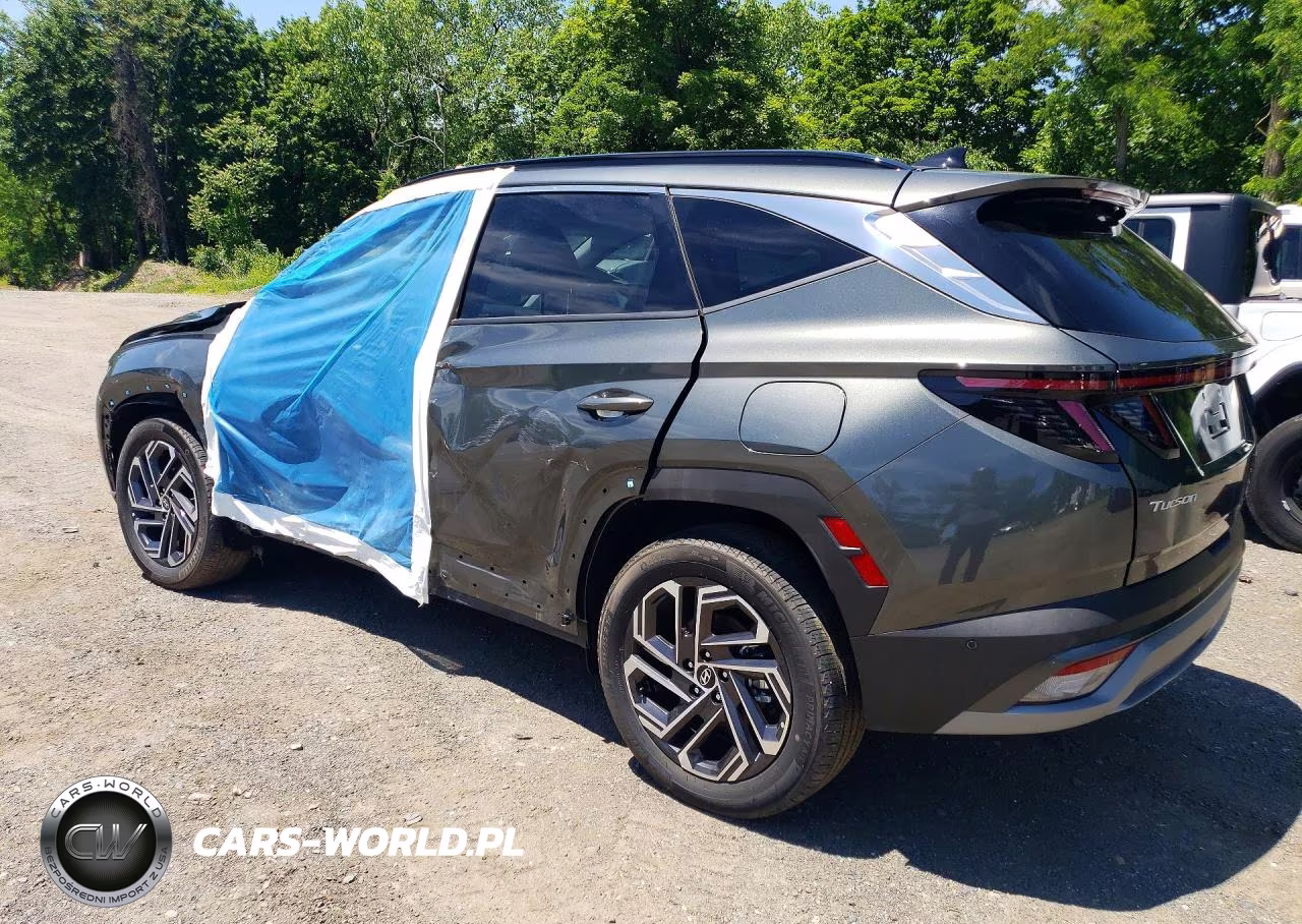 2025 Hyundai Tucson Limited VIN:KM8JEDD10SU384692 - 2