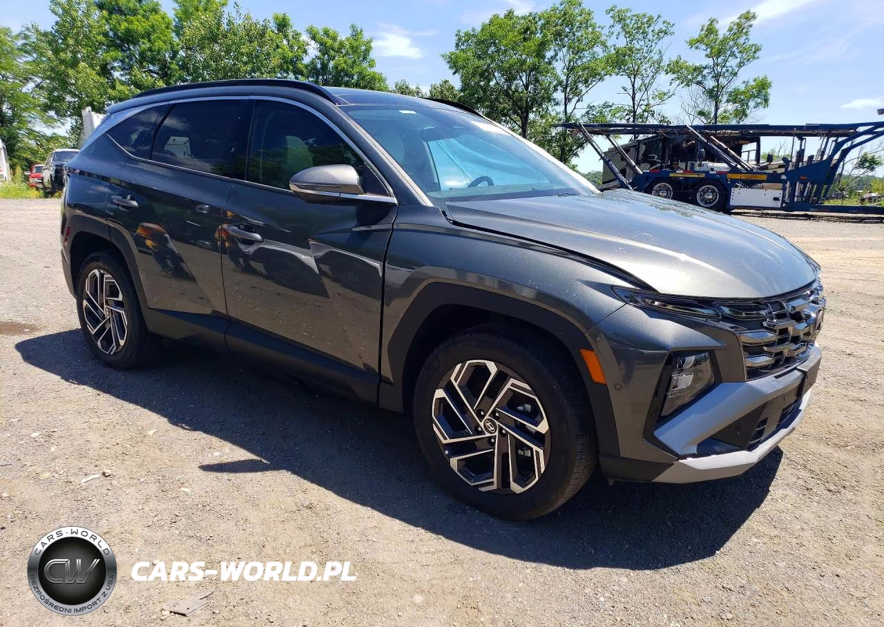 2025 Hyundai Tucson Limited VIN:KM8JEDD10SU384692 - 4