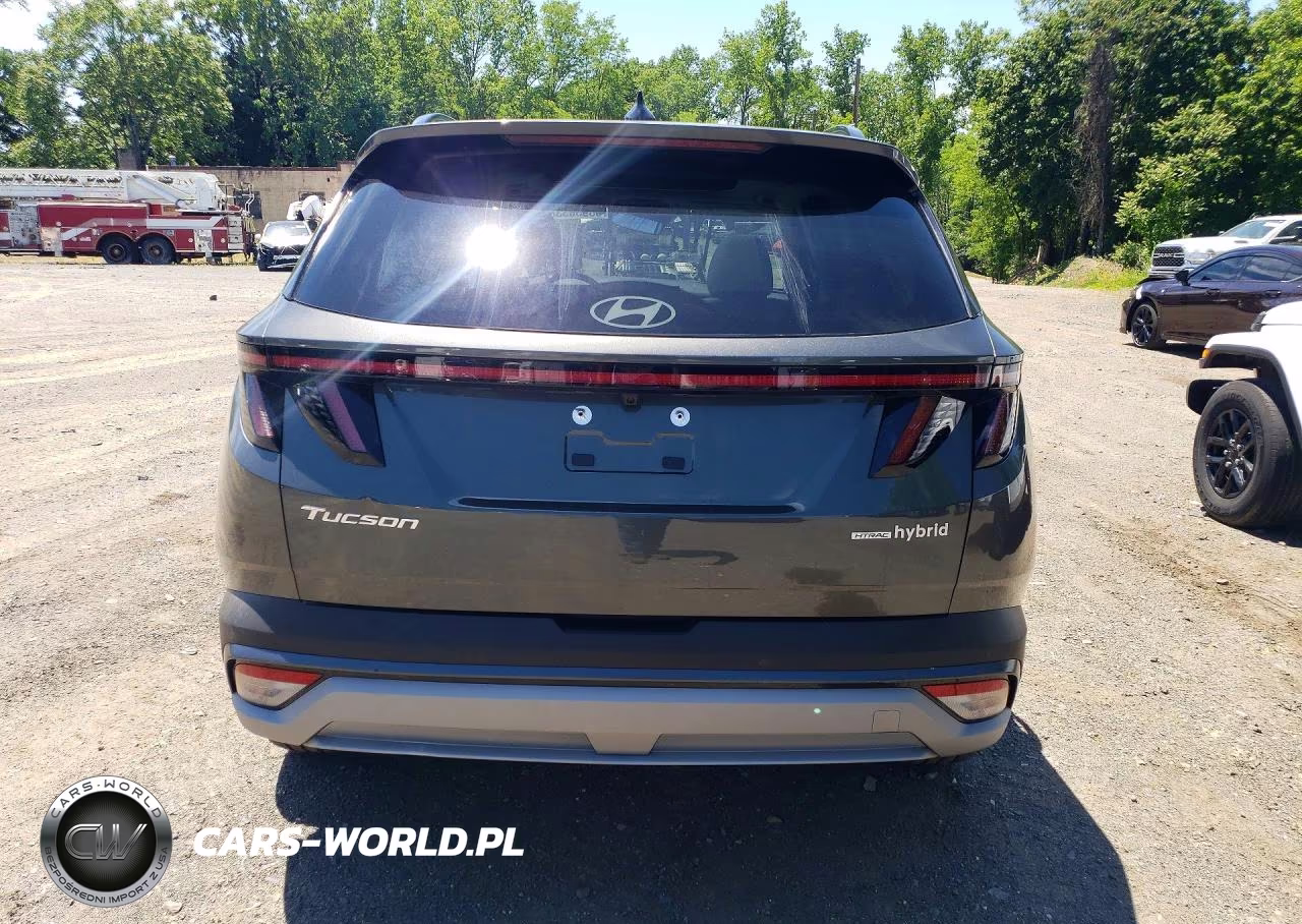 2025 Hyundai Tucson Limited VIN:KM8JEDD10SU384692 - 6