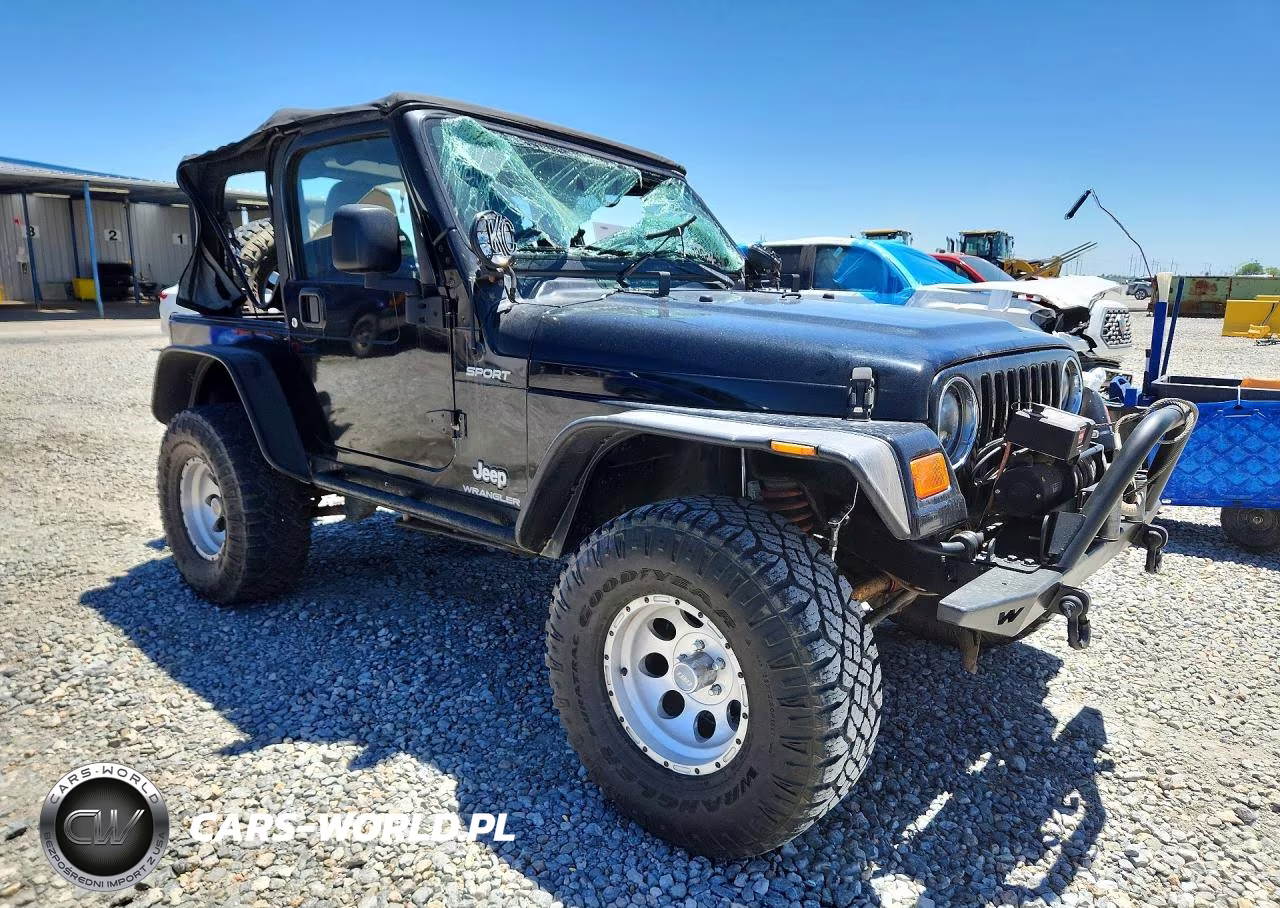 2003 Jeep Wrangler - Tj Sport VIN:1J4FA49S83P323625 - 4