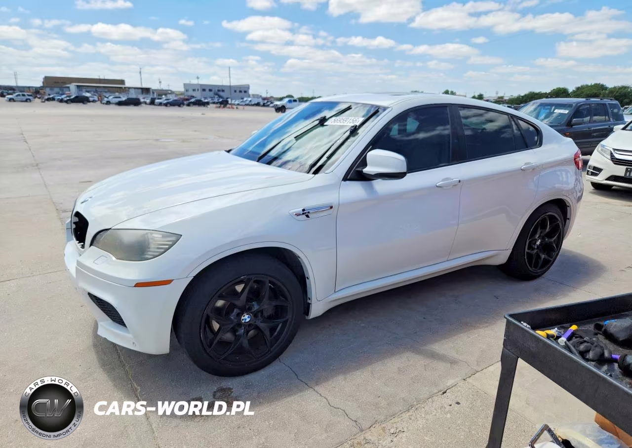 2010 BMW X6 M