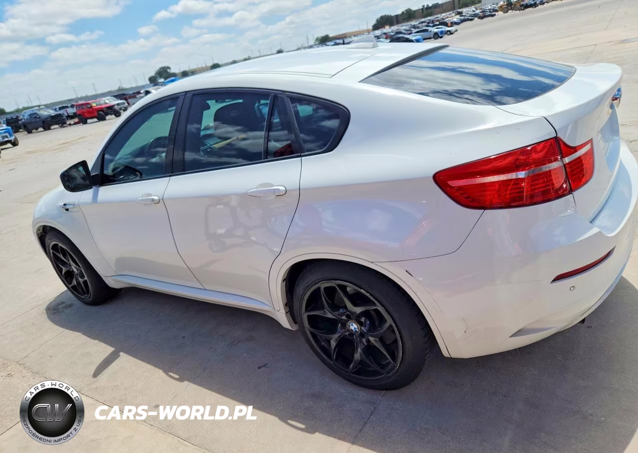 2010 BMW X6 M VIN:5YMGZ0C50ALK13081 - 2