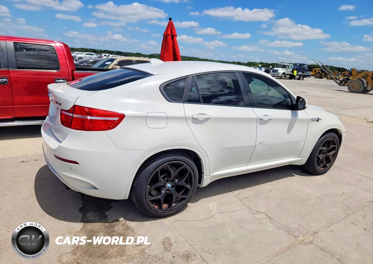 2010 BMW X6 M VIN:5YMGZ0C50ALK13081 - 3