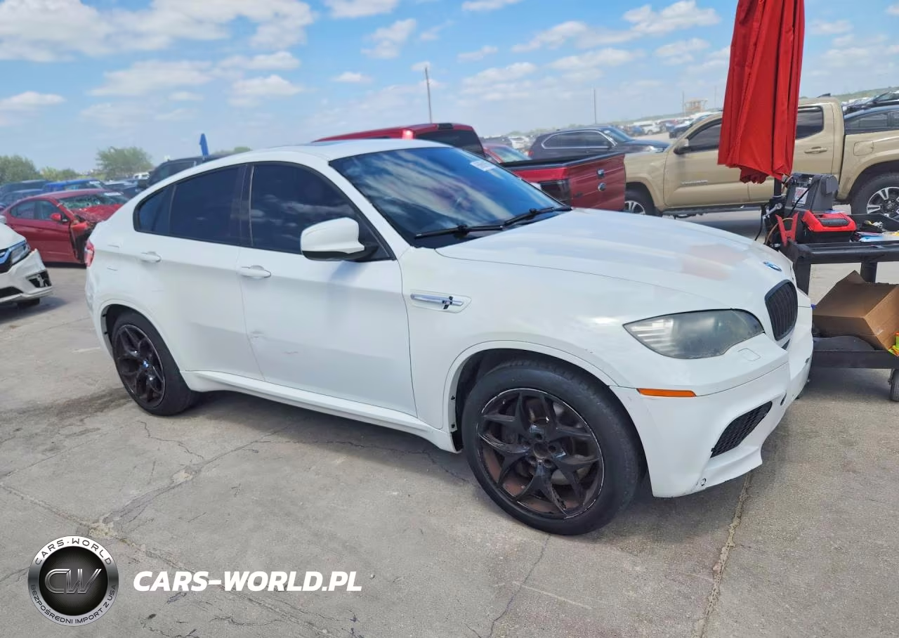 2010 BMW X6 M VIN:5YMGZ0C50ALK13081 - 4