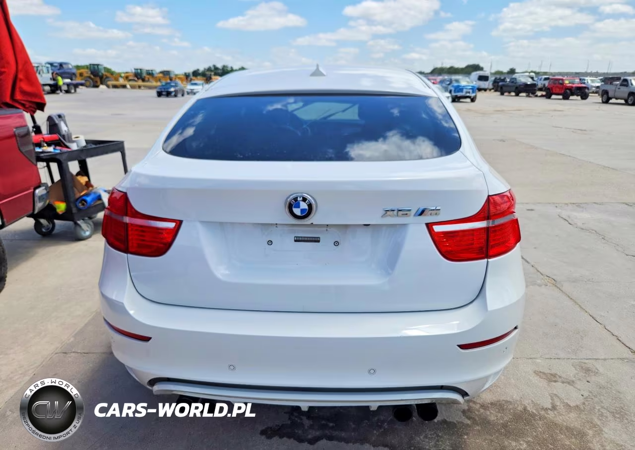 2010 BMW X6 M VIN:5YMGZ0C50ALK13081 - 6