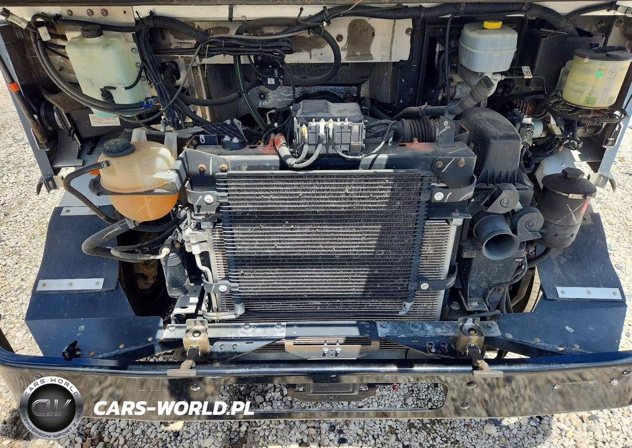 2021 Ford F59 Delivery Truck VIN:1F65F5KN2M0A01833 - 11