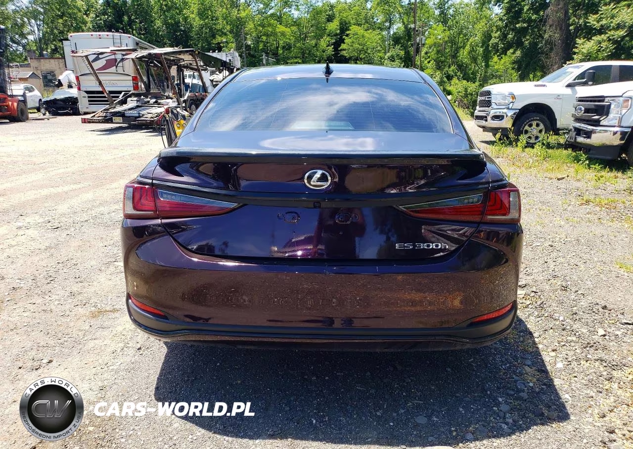 2025 Lexus Es 300H F Sport Handling VIN:58ABA1C15SU065006 - 6