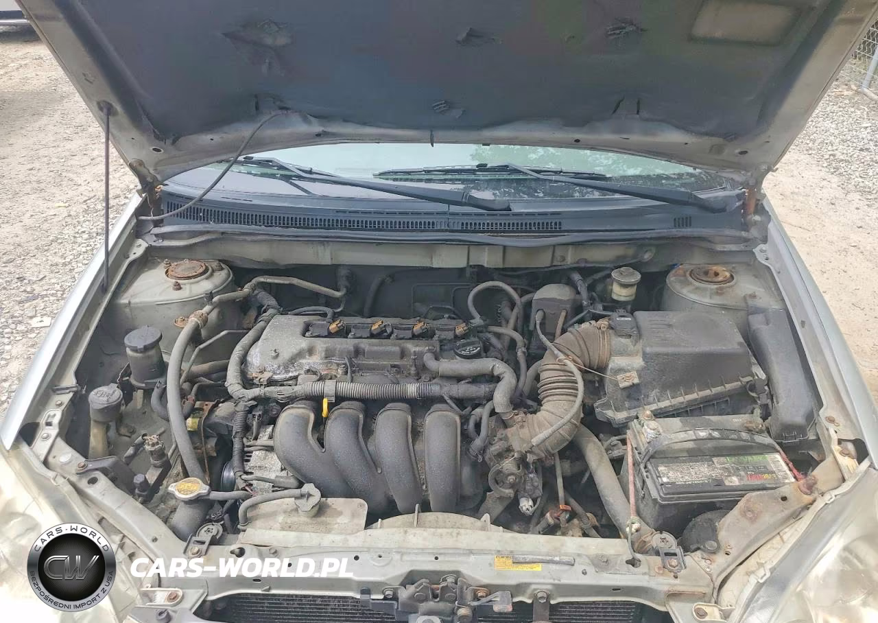2004 Toyota Corolla Le VIN:2T1BR32E84C317528 - 11