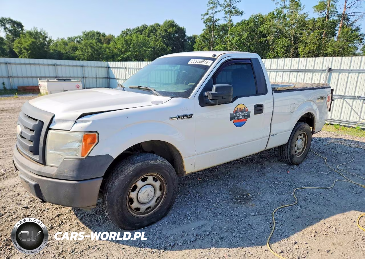 2009 Ford F150