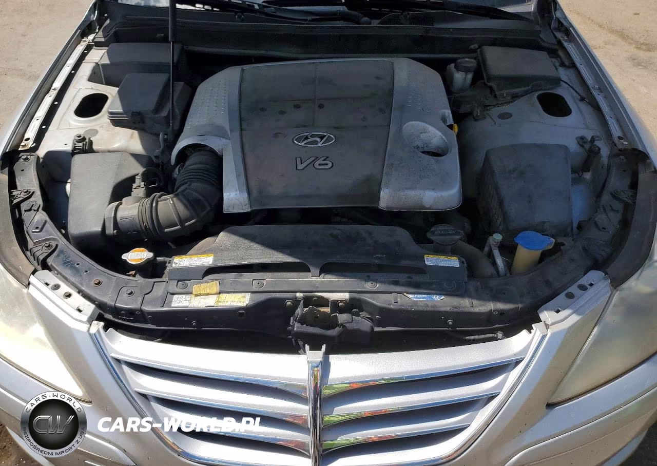 2009 Hyundai Genesis 3.8L V6 VIN:KMHGC46E99U021026 - 11
