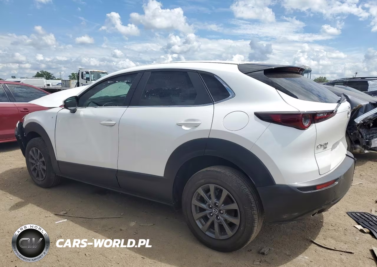 2021 Mazda Cx-30 VIN:3MVDMBAL4MM250935 - 2