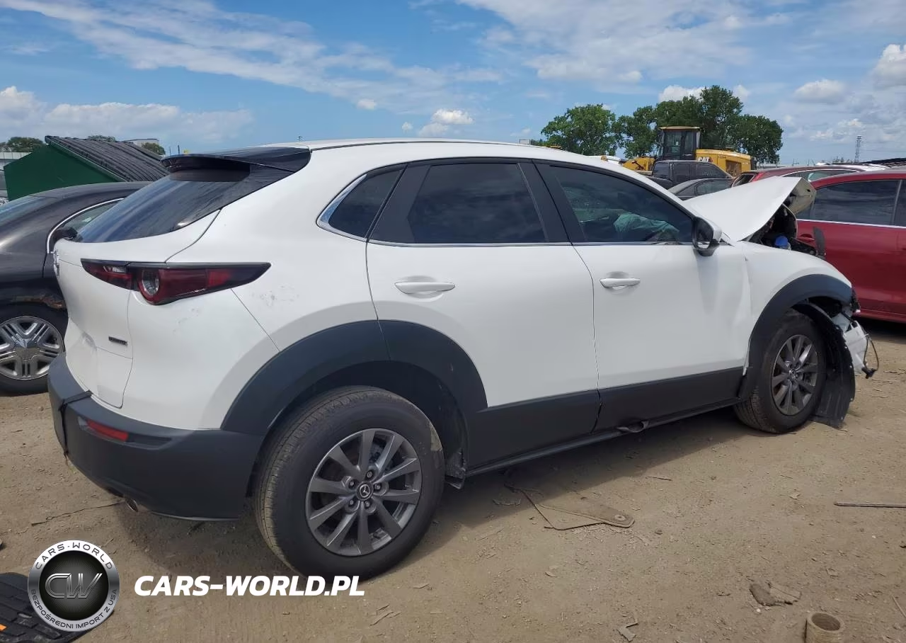 2021 Mazda Cx-30 VIN:3MVDMBAL4MM250935 - 3