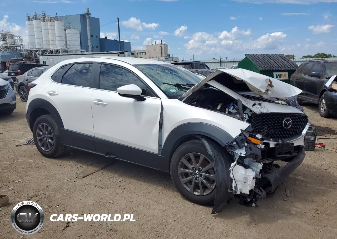 2021 Mazda Cx-30 VIN:3MVDMBAL4MM250935 - 4