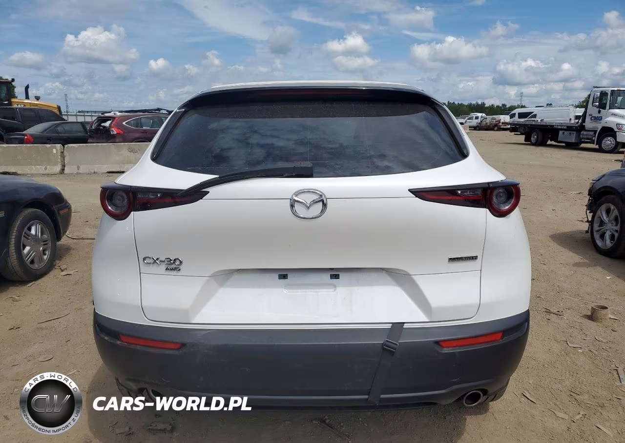 2021 Mazda Cx-30 VIN:3MVDMBAL4MM250935 - 6