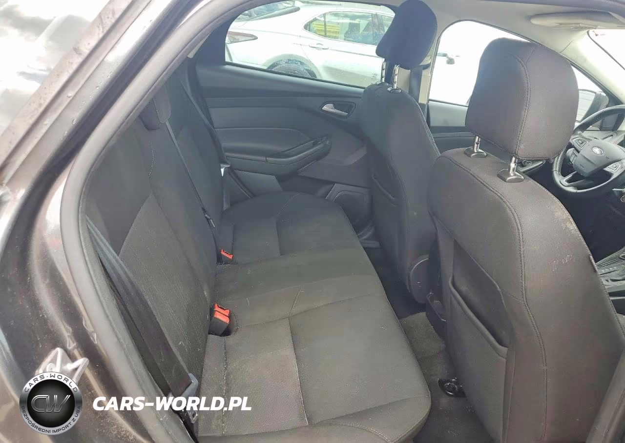 2016 Ford Focus Se VIN:1FADP3F28GL393560 - 10