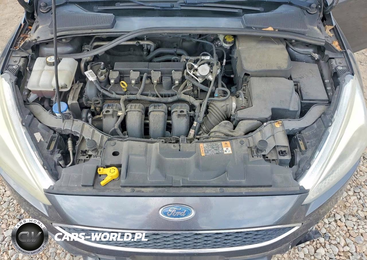 2016 Ford Focus Se VIN:1FADP3F28GL393560 - 11