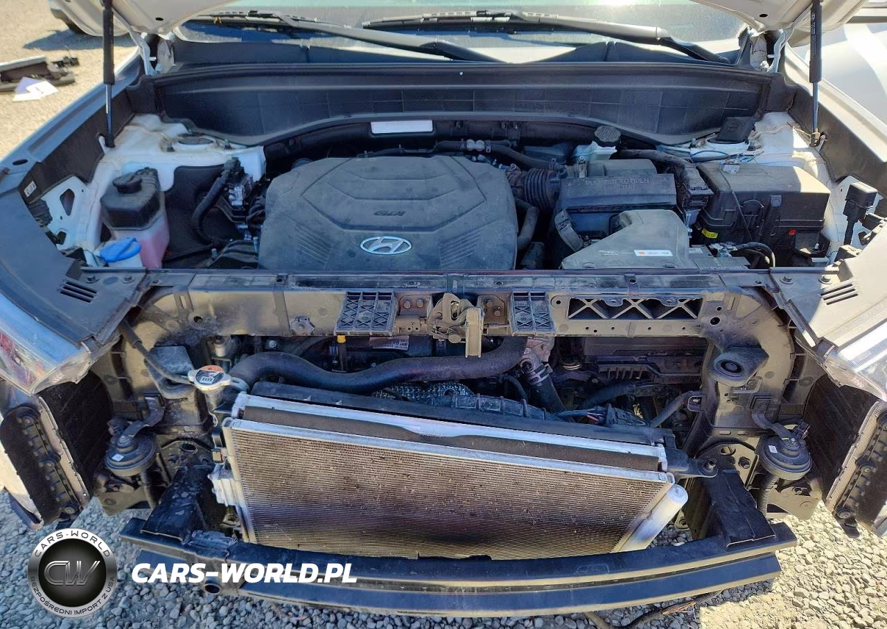 2021 Hyundai Palisade Sel VIN:KM8R4DHE3MU206457 - 12