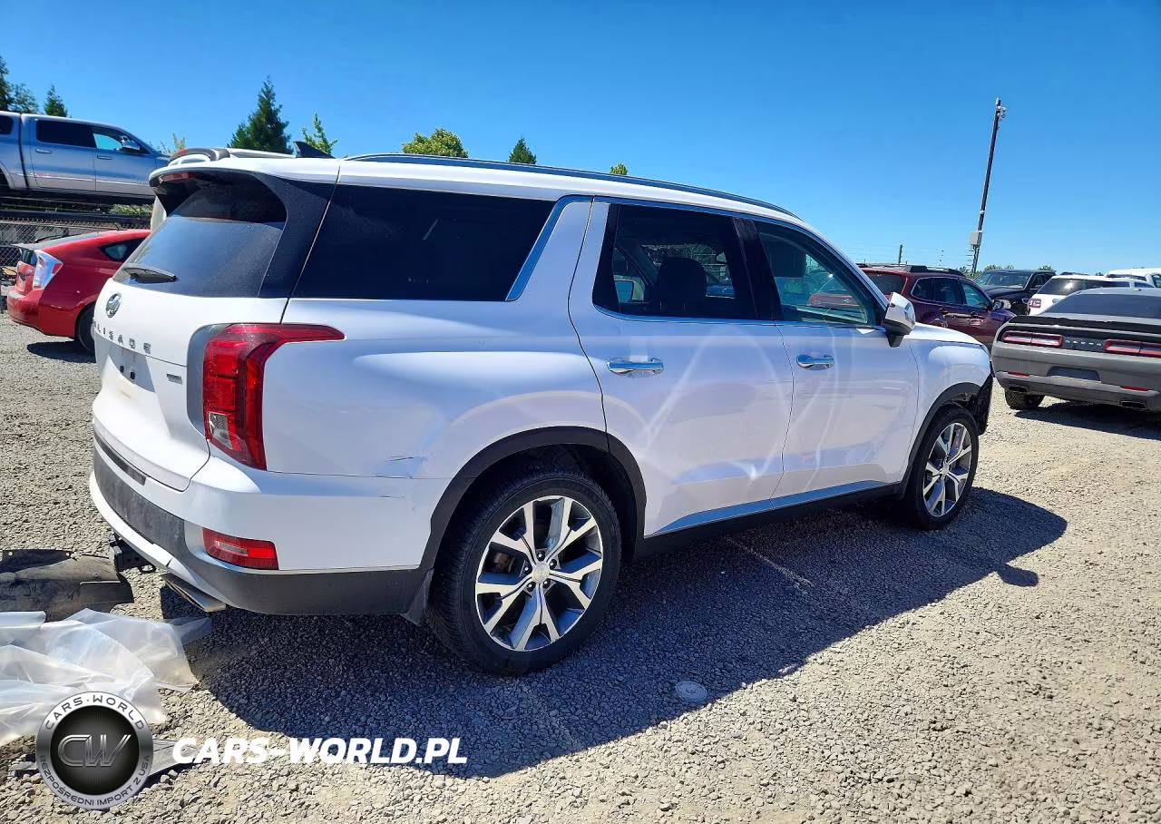 2021 Hyundai Palisade Sel VIN:KM8R4DHE3MU206457 - 3