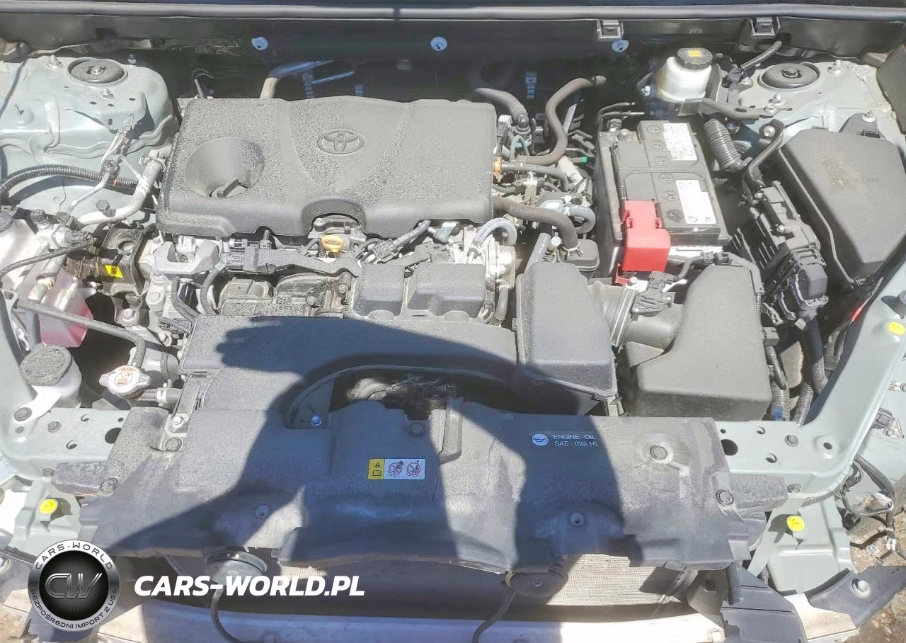 2023 Toyota Rav4 Xle VIN:2T3W1RFV0PW271886 - 12