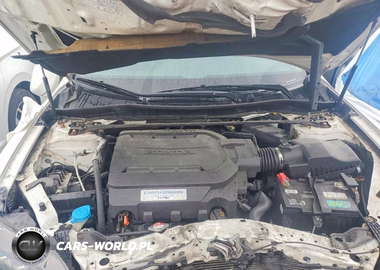 2013 Honda Accord Exl VIN:1HGCT2B81DA800973 - 11