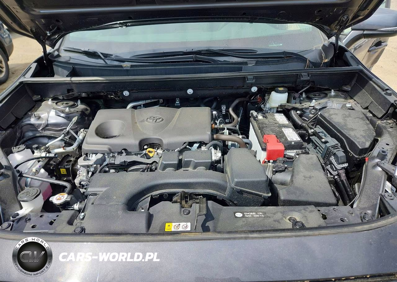 2025 Toyota Rav4 Xle VIN:2T3P1RFV0SW596518 - 12
