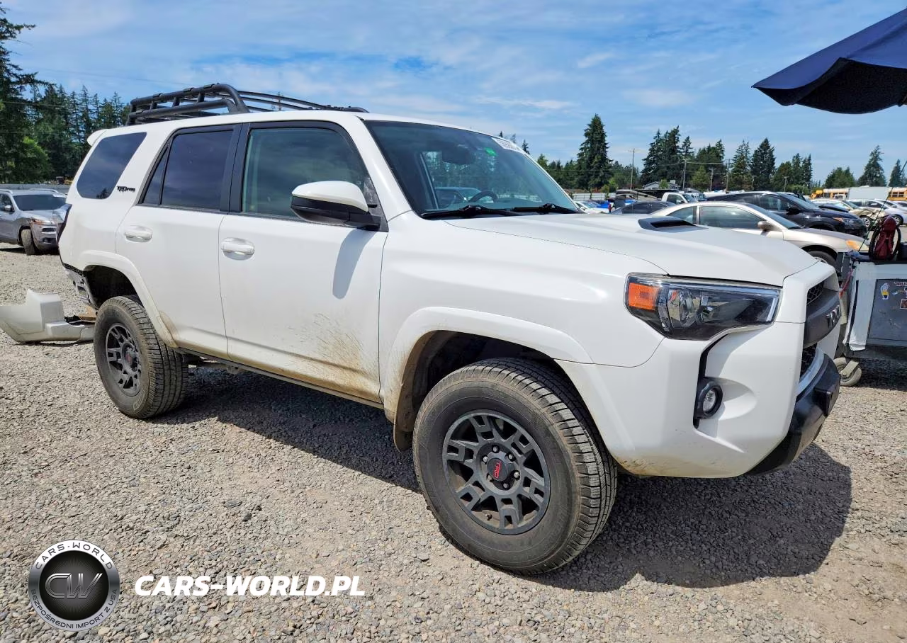 2019 Toyota 4Runner Trd Pro VIN:JTEBU5JR1K5709478 - 4