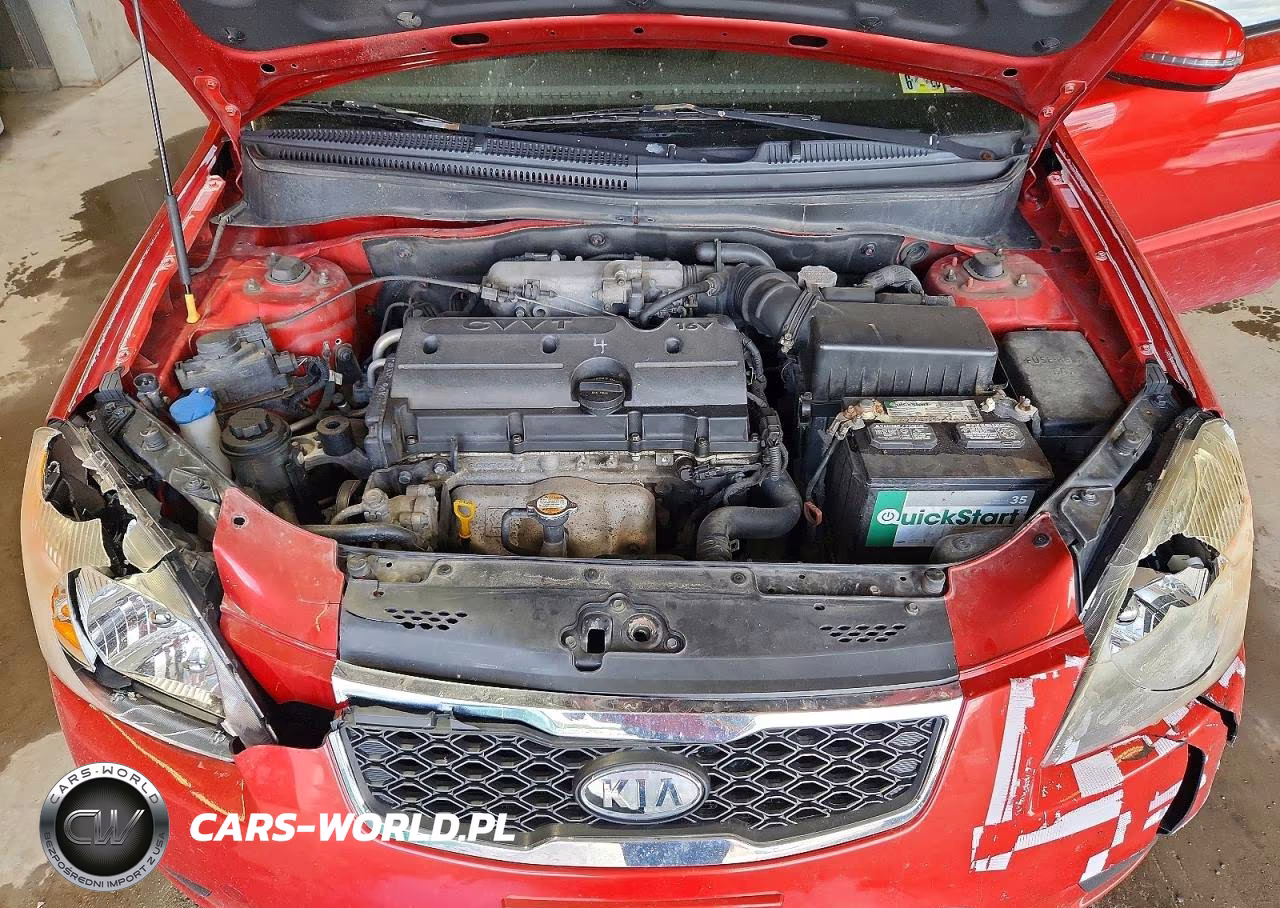 2010 Kia Rio Base VIN:KNADH4A39A6665405 - 11