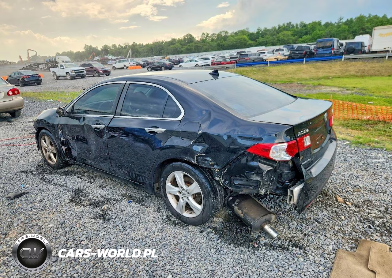 2009 Acura Tsx VIN:JH4CU26689C007023 - 2
