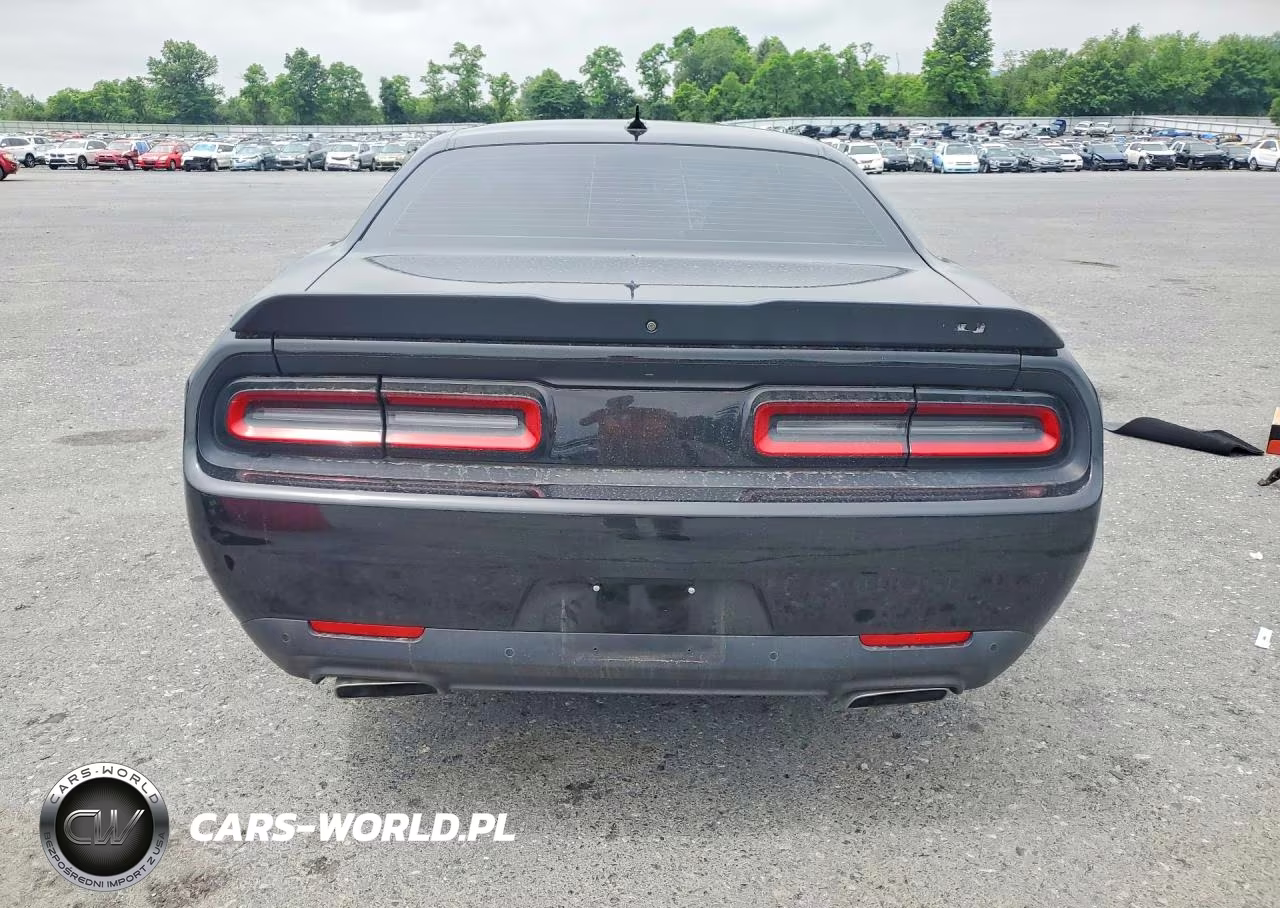 2019 Dodge Challenger R VIN:2C3CDZFJ1KH687949 - 6