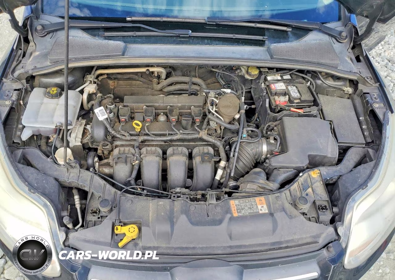 2014 Ford Focus Se VIN:1FADP3F26EL371067 - 11