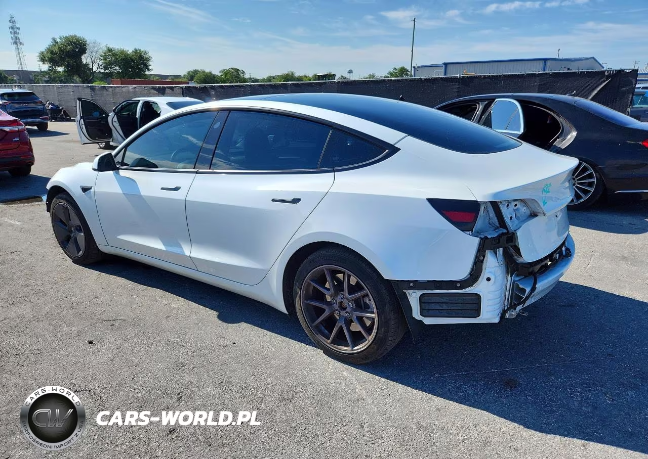2023 Tesla Model 3 VIN:5YJ3E1EA2PF594253 - 2