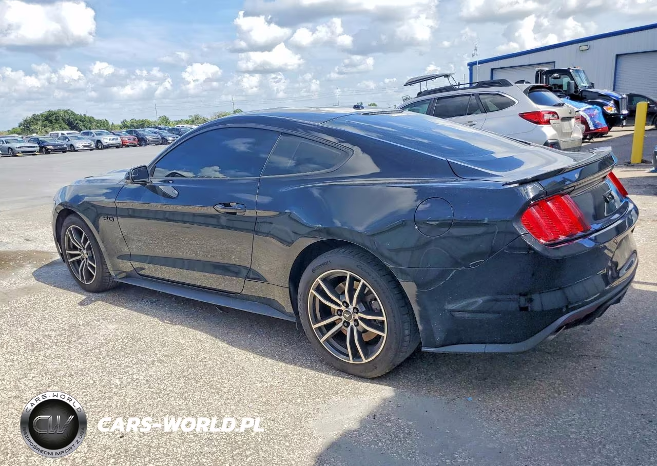 2017 Ford Mustang Gt VIN:1FA6P8CF6H5318021 - 2