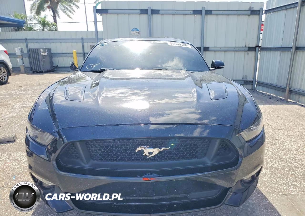 2017 Ford Mustang Gt VIN:1FA6P8CF6H5318021 - 5