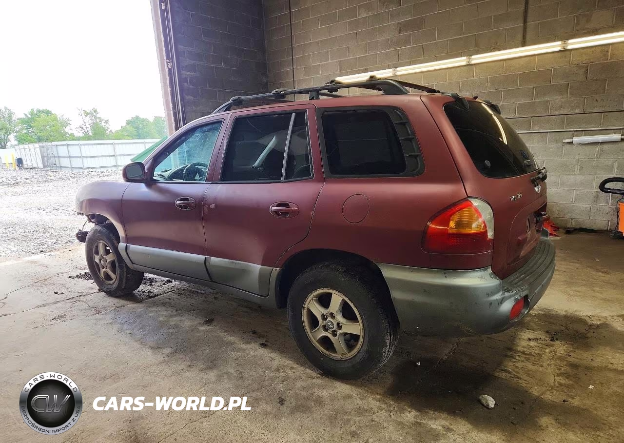 2004 Hyundai Santa Fe Gl VIN:KM8SB12B64U610793 - 2