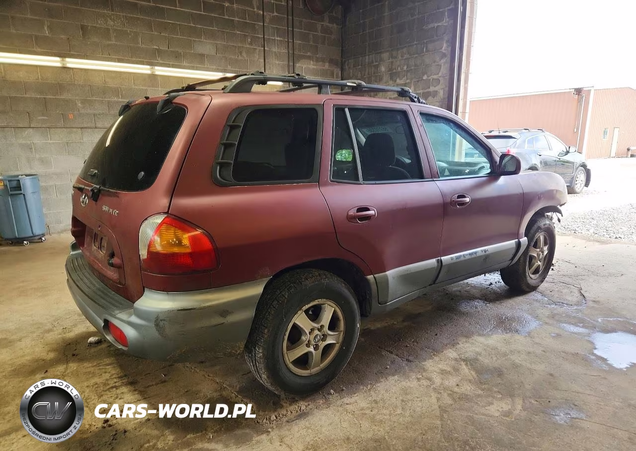 2004 Hyundai Santa Fe Gl VIN:KM8SB12B64U610793 - 3
