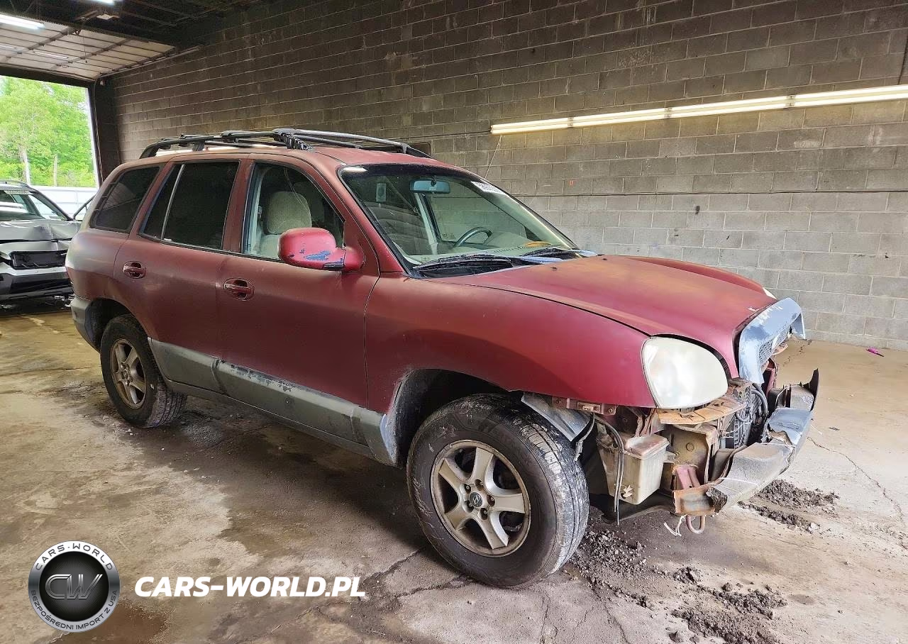 2004 Hyundai Santa Fe Gl VIN:KM8SB12B64U610793 - 4
