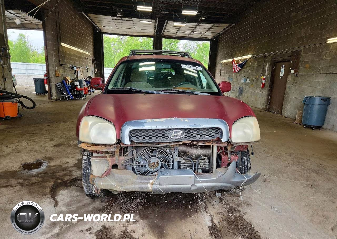 2004 Hyundai Santa Fe Gl VIN:KM8SB12B64U610793 - 5