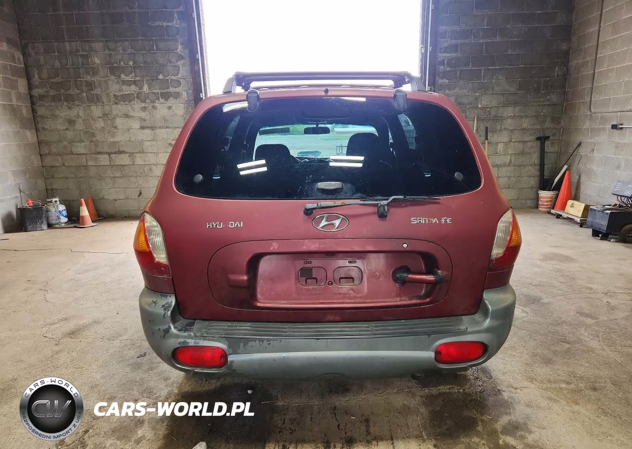 2004 Hyundai Santa Fe Gl VIN:KM8SB12B64U610793 - 6