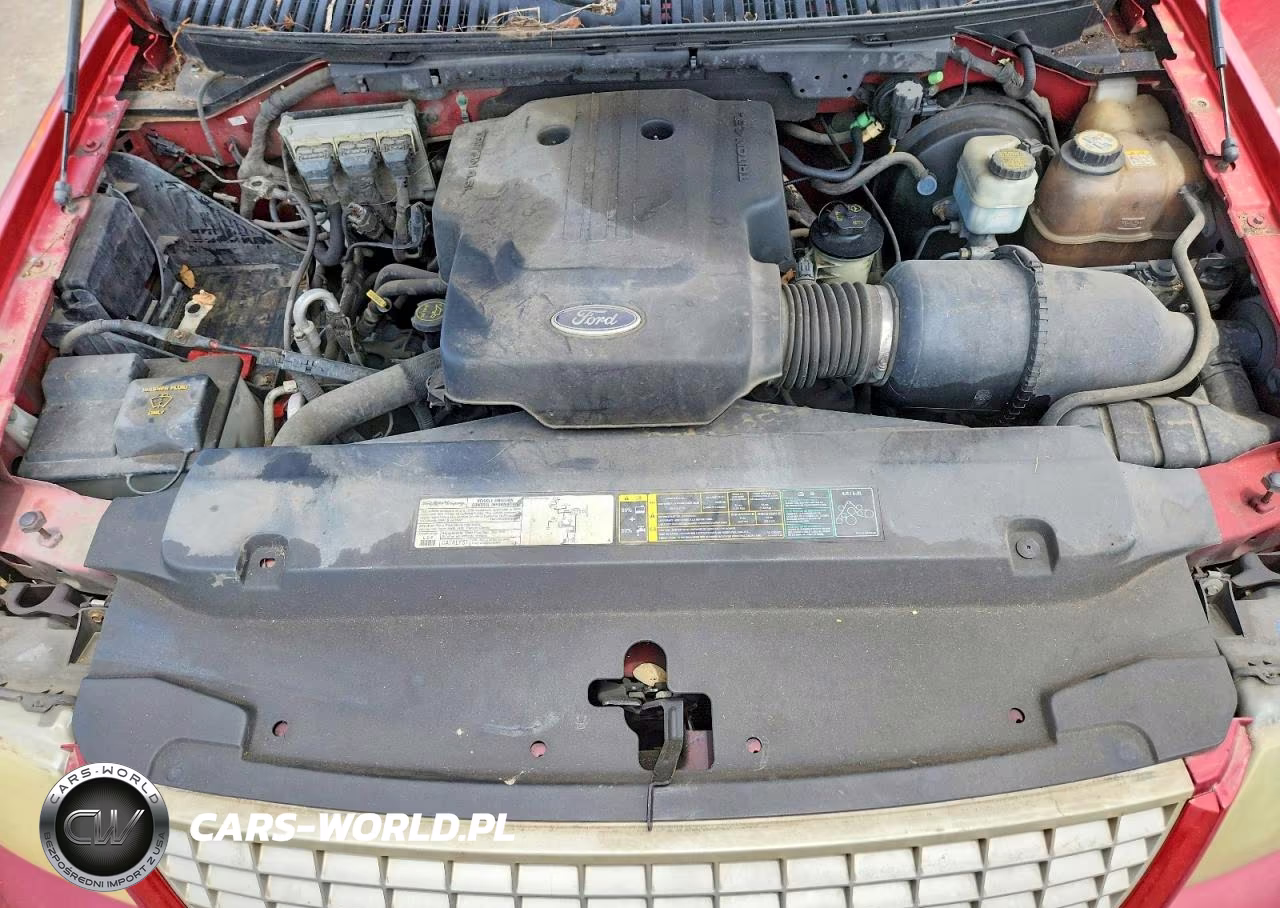 2004 Ford Expedition Eddie Bauer VIN:1FMRU17W14LA90920 - 12